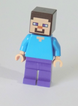 LEGO Minecraft Figur Steve MIN009 aus Set 21116